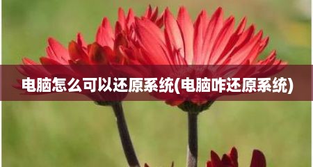 电脑怎么可以还原系统(电脑咋还原系统)