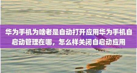 华为手机为啥老是自动打开应用华为手机自启动管理在哪，怎么样关闭自启动应用