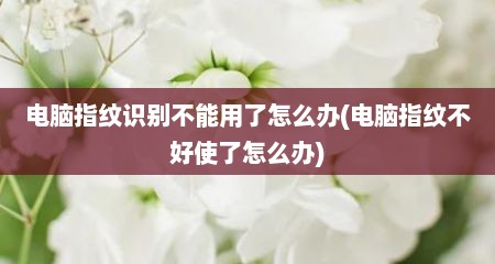 电脑指纹识别不能用了怎么办(电脑指纹不好使了怎么办)