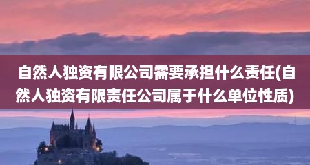 自然人独资有限公司需要承担什么责任(自然人独资有限责任公司属于什么单位性质)