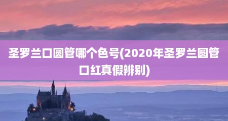 圣罗兰口圆管哪个色号(2020年圣罗兰圆管口红真假辨别)