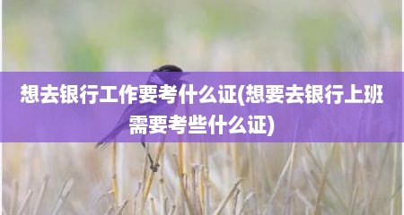 想去银行工作要考什么证(想要去银行上班需要考些什么证)