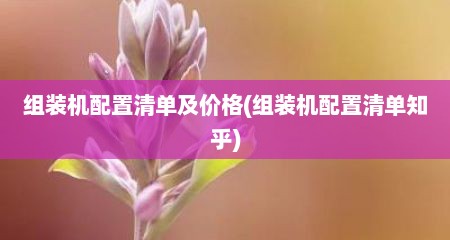 组装机配置清单及价格(组装机配置清单知乎)