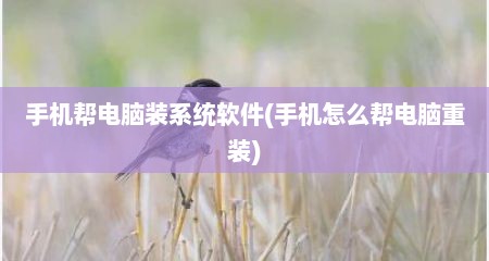 手机帮电脑装系统软件(手机怎么帮电脑重装)