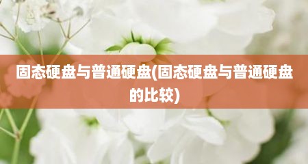 固态硬盘与普通硬盘(固态硬盘与普通硬盘的比较)