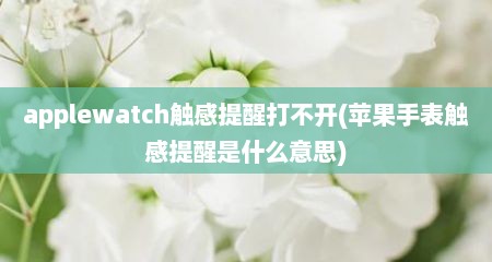 applewatch触感提醒打不开(苹果手表触感提醒是什么意思)