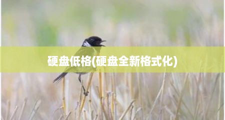 硬盘低格(硬盘全新格式化)