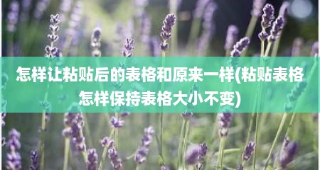 怎样让粘贴后的表格和原来一样(粘贴表格怎样保持表格大小不变)