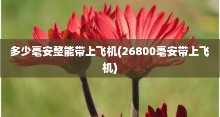 多少毫安整能带上飞机(26800毫安带上飞机)