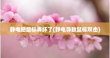 静电把鼠标弄坏了(静电导致鼠标双击)