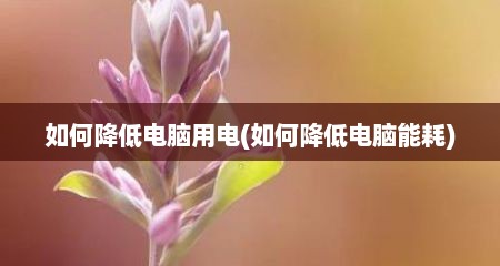 如何降低电脑用电(如何降低电脑能耗)