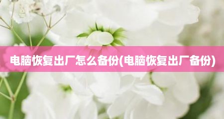 电脑恢复出厂怎么备份(电脑恢复出厂备份)
