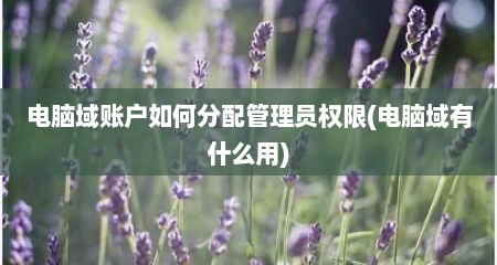 电脑域账户如何分配管理员权限(电脑域有什么用)