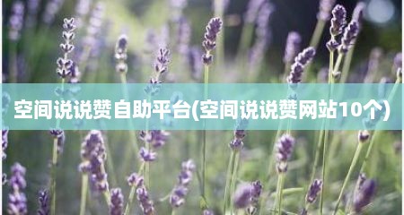 空间说说赞自助平台(空间说说赞网站10个)