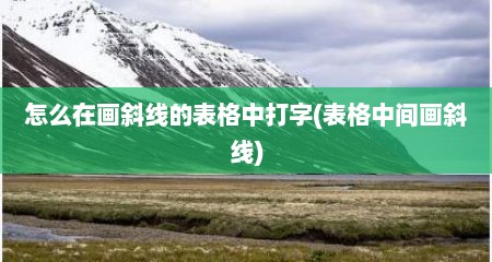 怎么在画斜线的表格中打字(表格中间画斜线)