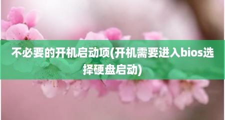 不必要的开机启动项(开机需要进入bios选择硬盘启动)