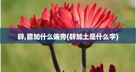 辟,能加什么偏旁(辟加土是什么字)