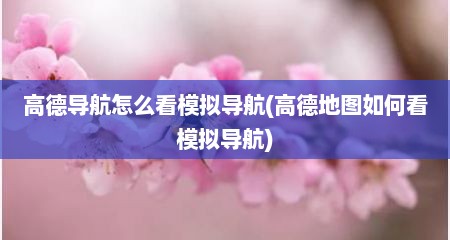 高德导航怎么看模拟导航(高德地图如何看模拟导航)