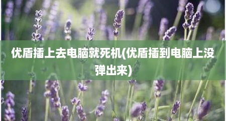 优盾插上去电脑就死机(优盾插到电脑上没弹出来)