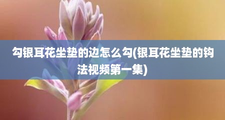 勾银耳花坐垫的边怎么勾(银耳花坐垫的钩法视频第一集)