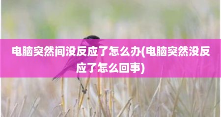 电脑突然间没反应了怎么办(电脑突然没反应了怎么回事)