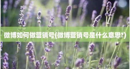 微博如何做营销号(微博营销号是什么意思?)