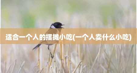 适合一个人的摆摊小吃(一个人卖什么小吃)