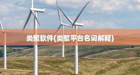 类聚软件(类聚平台名词解释)