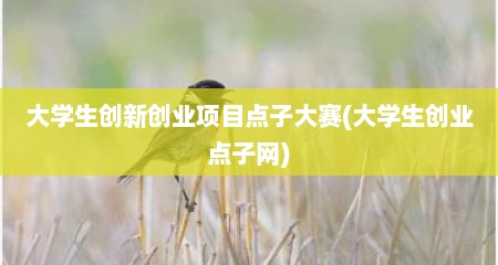 大学生创新创业项目点子大赛(大学生创业点子网)