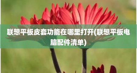 联想平板皮套功能在哪里打开(联想平板电脑配件清单)