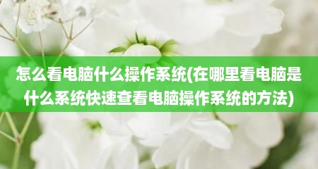 怎么看电脑什么操作系统(在哪里看电脑是什么系统快速查看电脑操作系统的方法)