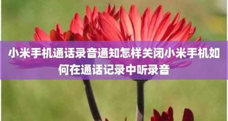 小米手机通话录音通知怎样关闭小米手机如何在通话记录中听录音