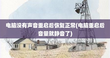电脑没有声音重启后恢复正常(电脑重启后音量就静音了)