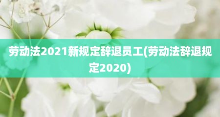 劳动法2021新规定辞退员工(劳动法辞退规定2020)