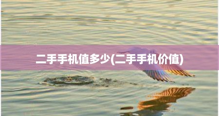 二手手机值多少(二手手机价值)