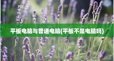 平板电脑与普通电脑(平板不是电脑吗)