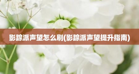 影踪派声望怎么刷(影踪派声望提升指南)
