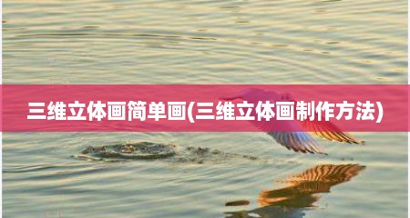 三维立体画简单画(三维立体画制作方法)
