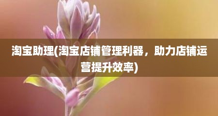 淘宝助理(淘宝店铺管理利器，助力店铺运营提升效率)