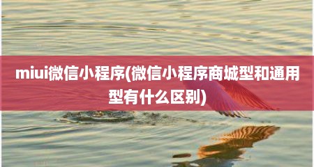 miui微信小程序(微信小程序商城型和通用型有什么区别)