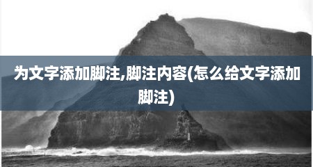为文字添加脚注,脚注内容(怎么给文字添加脚注)