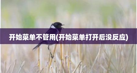 开始菜单不管用(开始菜单打开后没反应)