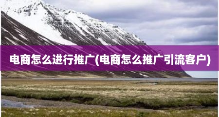 电商怎么进行推广(电商怎么推广引流客户)