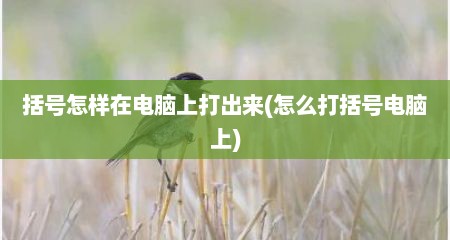 括号怎样在电脑上打出来(怎么打括号电脑上)