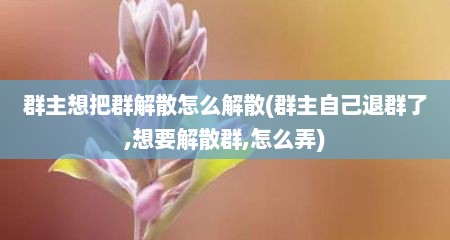群主想把群解散怎么解散(群主自己退群了,想要解散群,怎么弄)