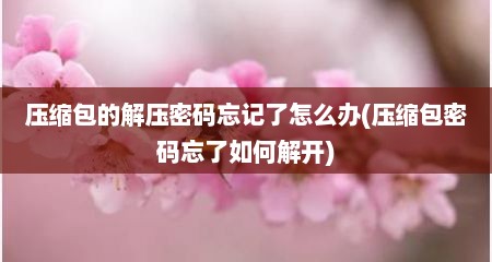 压缩包的解压密码忘记了怎么办(压缩包密码忘了如何解开)