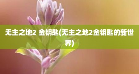 无主之地2 金钥匙(无主之地2金钥匙的新世界)