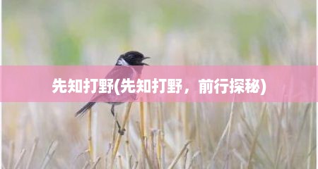 先知打野(先知打野，前行探秘)