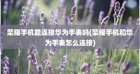 荣耀手机能连接华为手表吗(荣耀手机和华为手表怎么连接)