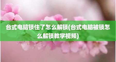 台式电脑锁住了怎么解锁(台式电脑被锁怎么解锁教学视频)